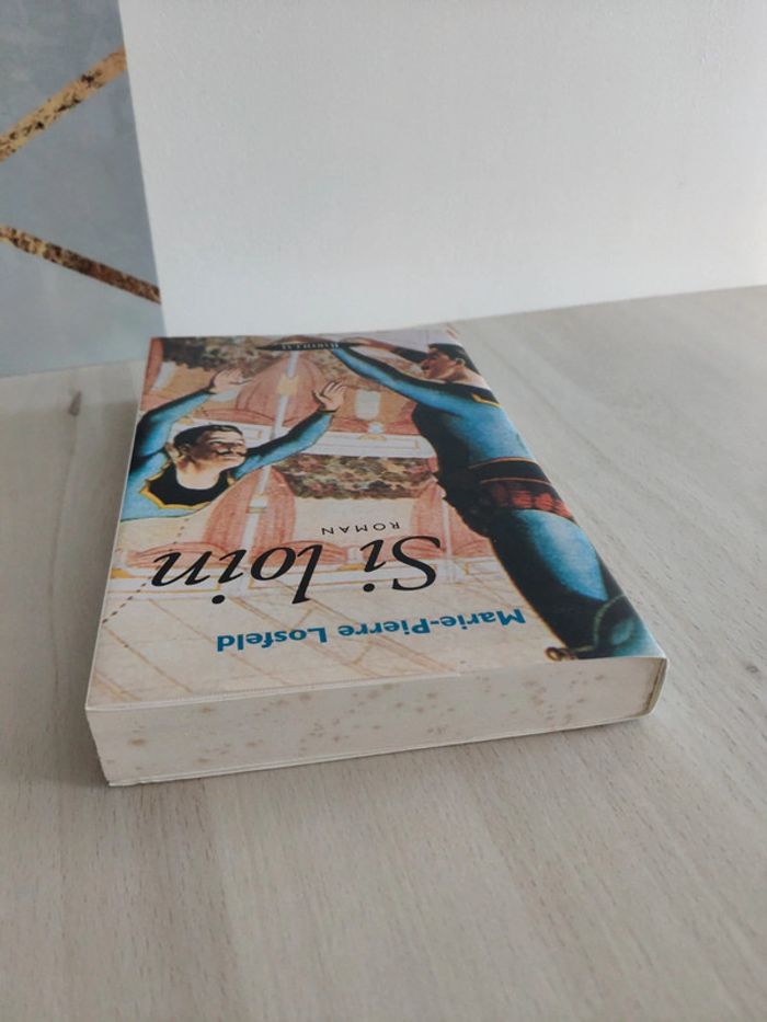 Livre grand format Si loin Marie Pierre Losfeld - photo numéro 4