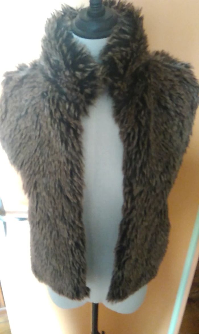 Veste sans manche - photo numéro 3