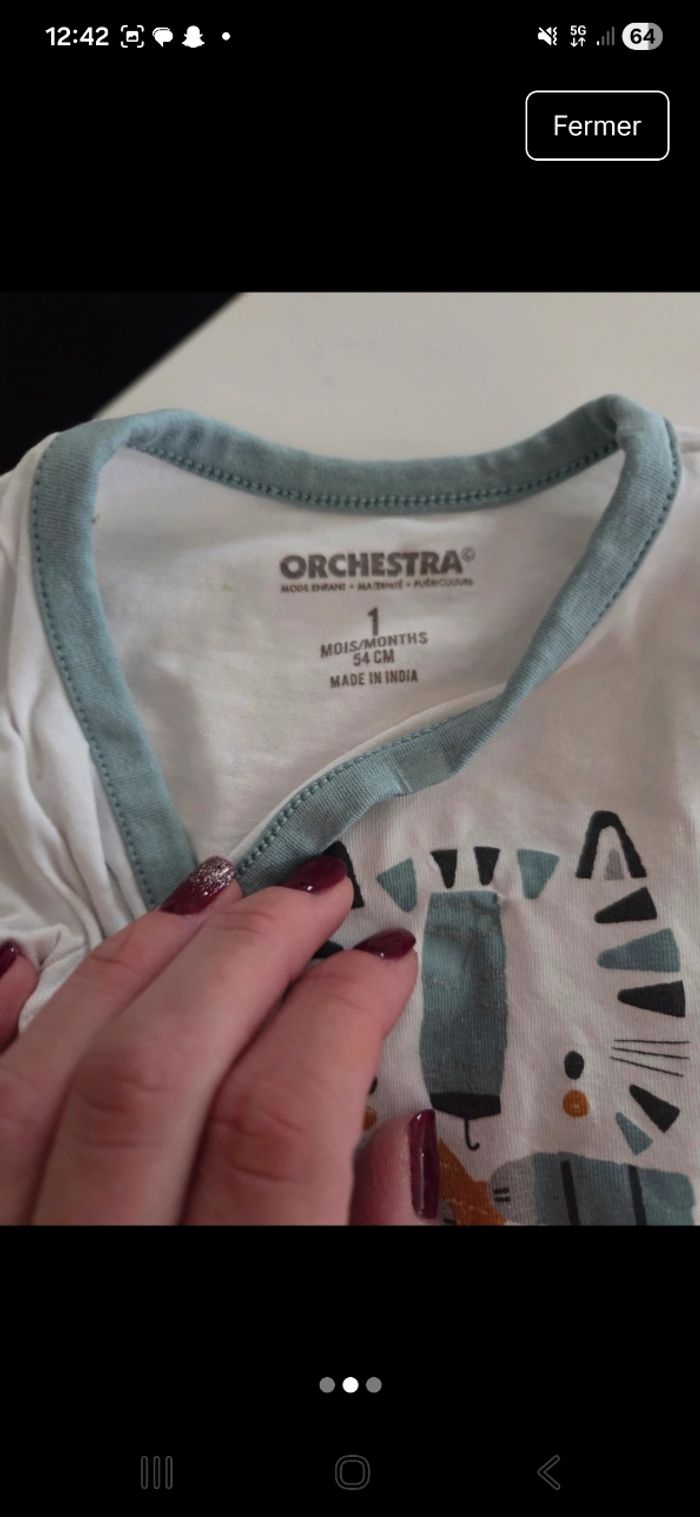 Lot bodies - photo numéro 2