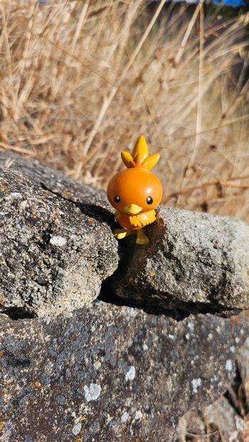 Super figurine Pokemon Nintendo Poussifeu