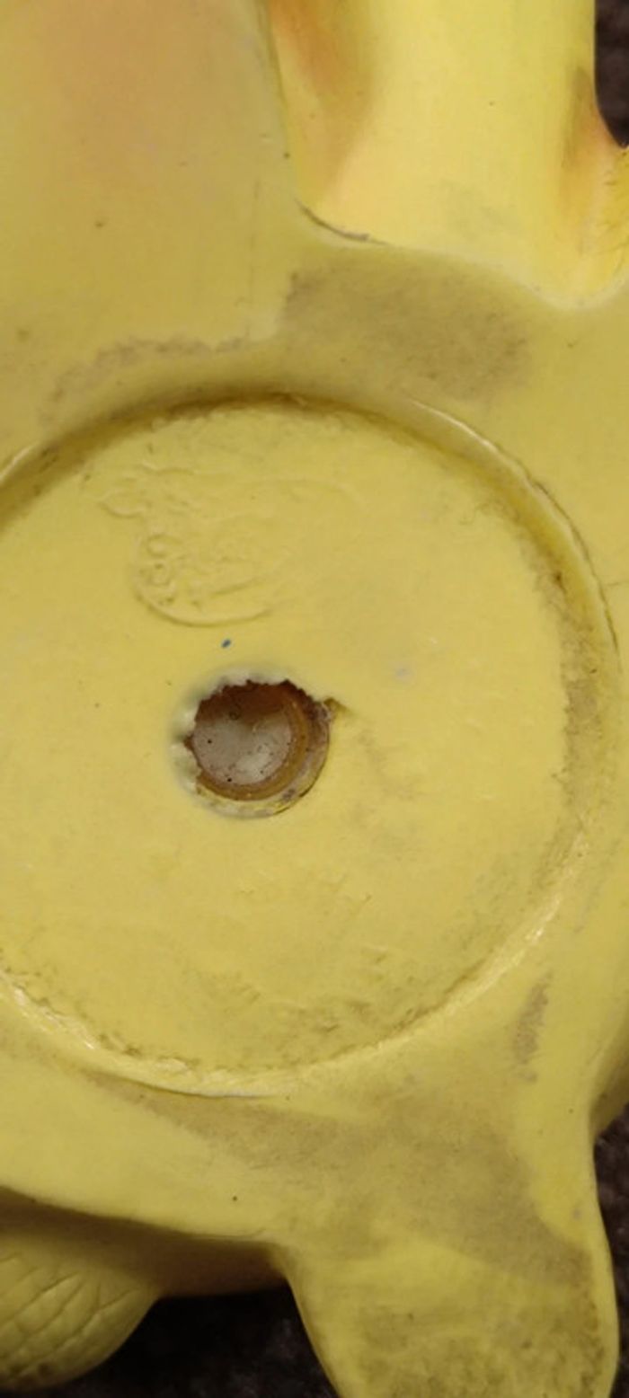 Tortue delacoste - photo numéro 5