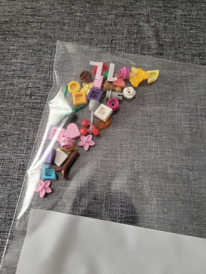 Lego Animal Crossing 77046 - photo numéro 11