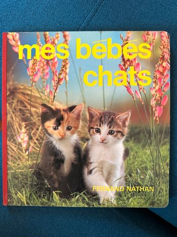 Album livre carton ancien vintage Mes bébés chats (et animaux) Fernand Nathan
