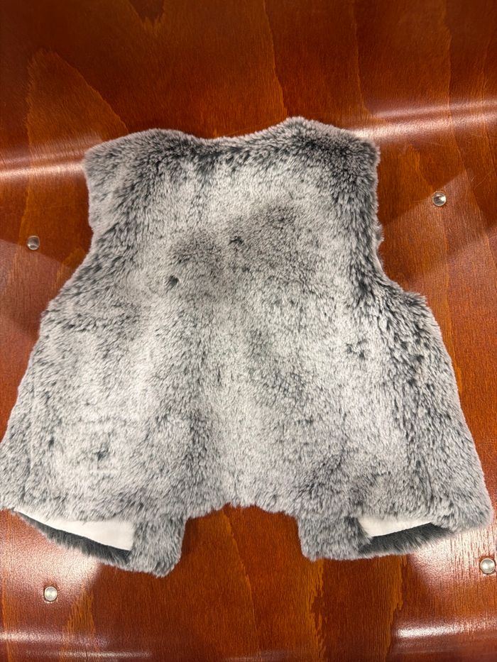 Gilet dans manche - photo numéro 3