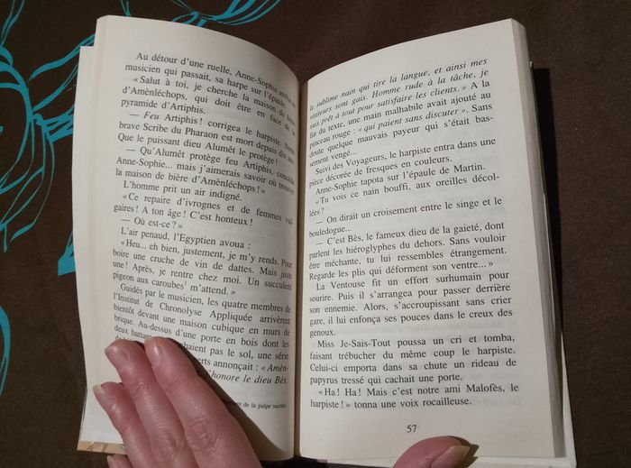 Les 4 voyageurs - photo numéro 4