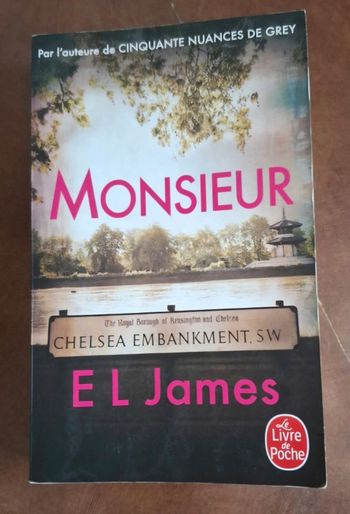 Livre Monsieur - E. L James