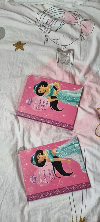 Lot livre princesse