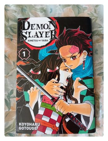 Manga démon slayer tome 1