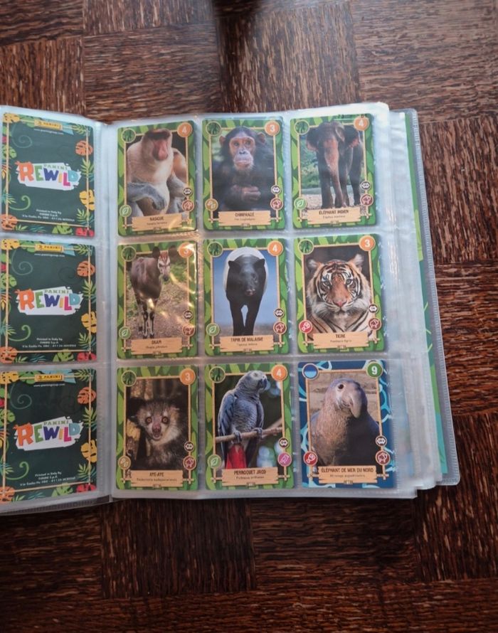 Rewild panini - photo numéro 7