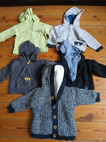 Gilets à capuches