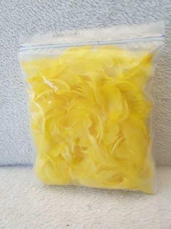 Sac de plumes jaunes