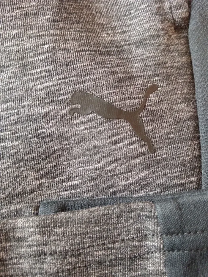 Jogging puma - photo numéro 2