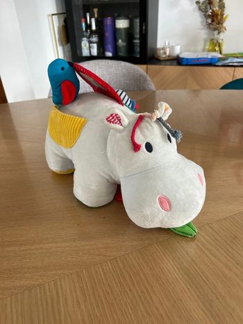Hippo oxybul