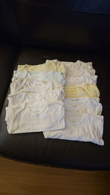 Lot de 11 bobies  manche courtes  4 à 18 mois