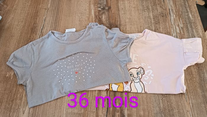 Lot de tee-shirts bébé fille