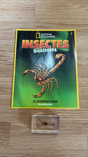 Insectes et Bestioles National Geographic Le Scorpion Doré