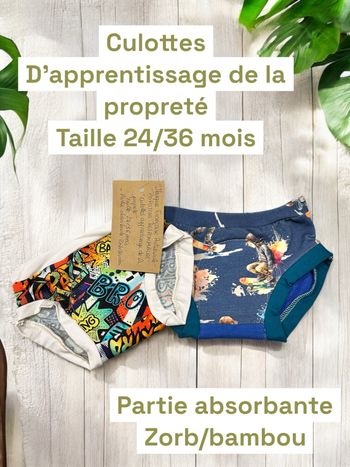 Culottes apprentissage propreté