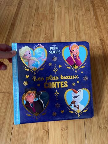 Livre reine des neiges Disney