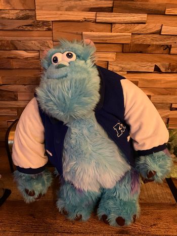 Peluche sullivan Disneyland Paris 50 cm 