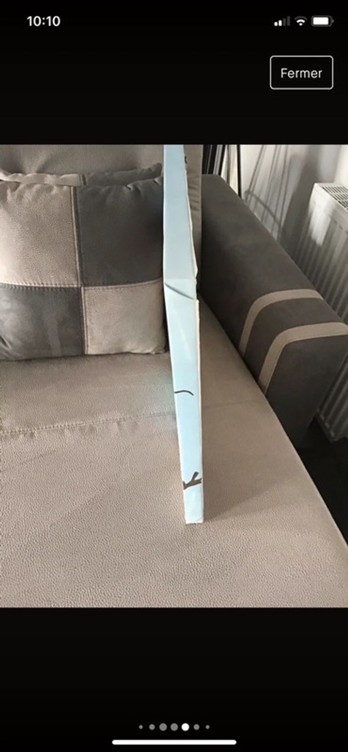 Toile Reine des neiges - photo numéro 7