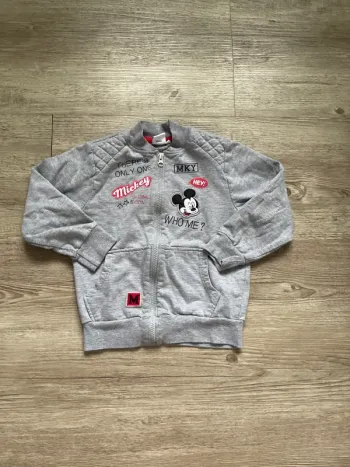 Veste zippée Disney - Taille 6 ans