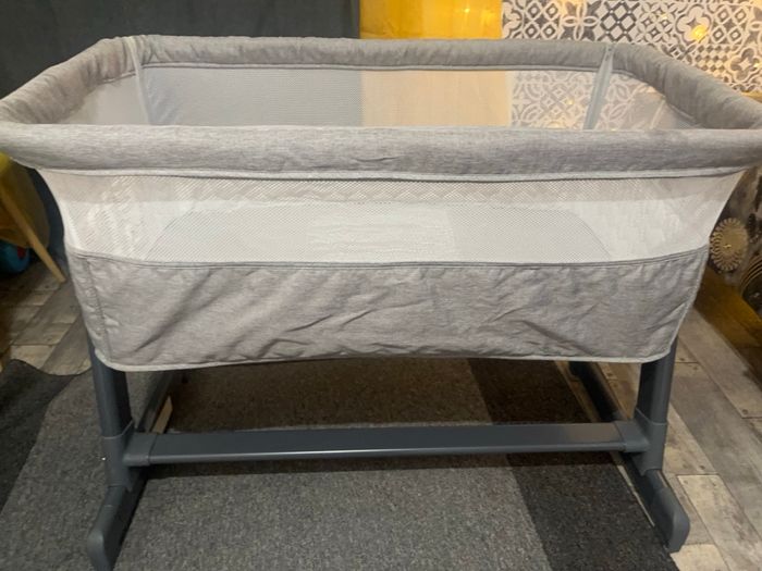 Cododo bébé - photo numéro 8