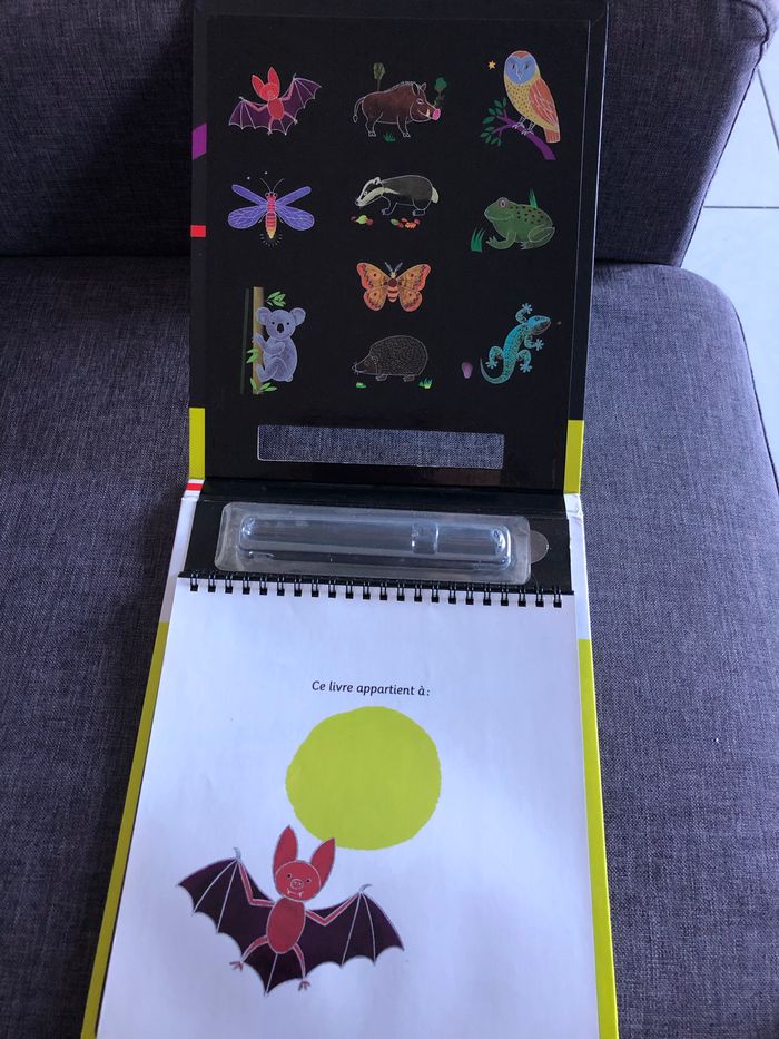 Livres pour apprendre à dessiner - photo numéro 2