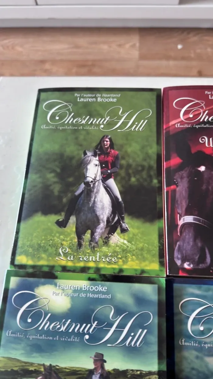 📚 Lot complet – Chestnut Hill – Tomes 1 à 9 – Lauren Brooke - photo numéro 8
