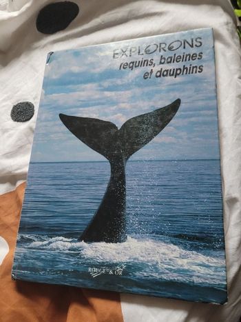 Explorons requins baleines et dauphins