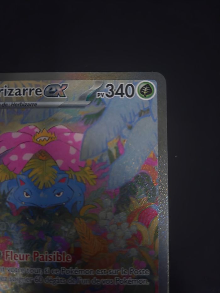 Florizarre ex - photo numéro 2