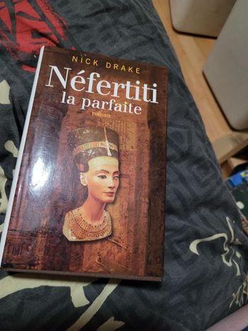 Nefertiti la parfaite