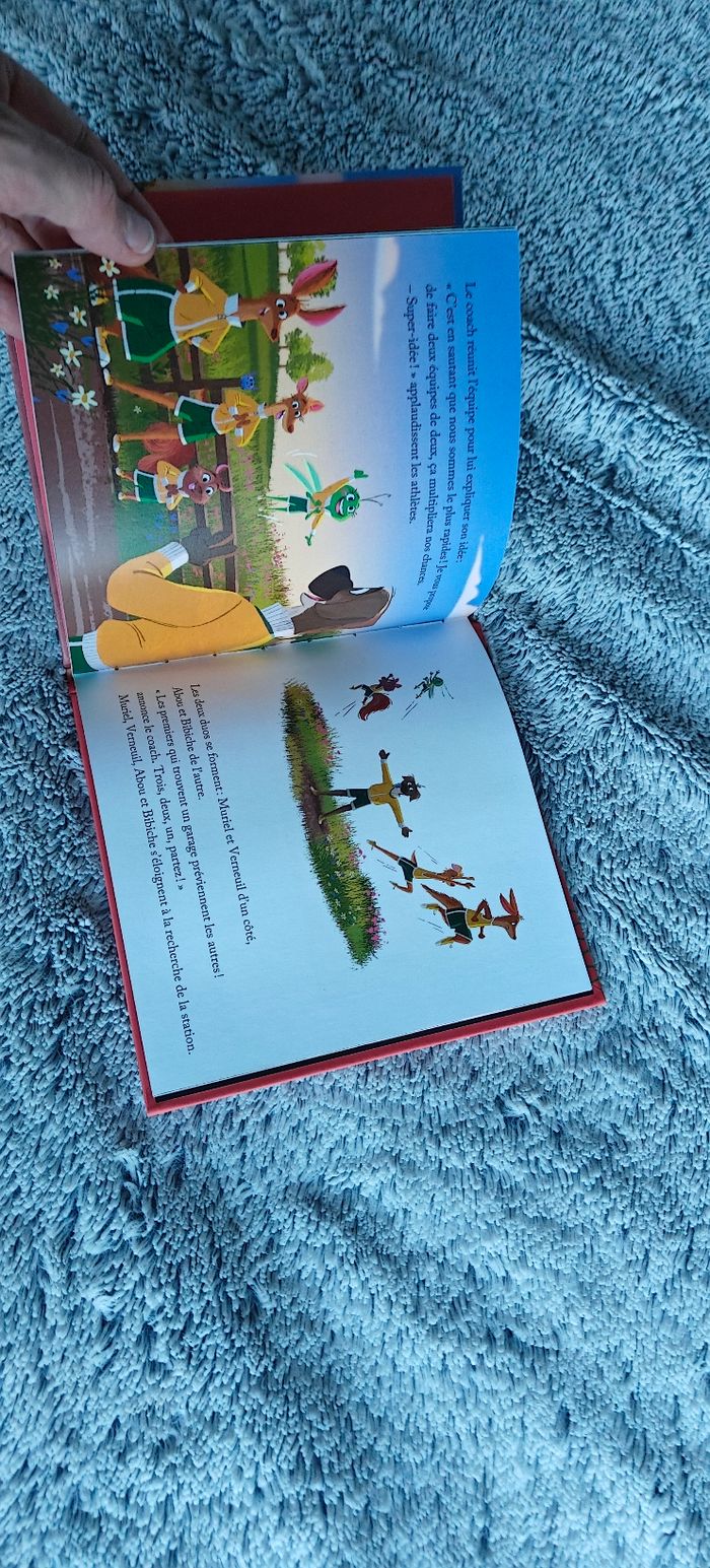 Livre Le saut en longueur - photo numéro 5