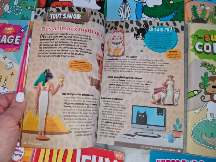 Lot de 11 livres de jeux, coloriage, lecture pour enfants - photo numéro 13