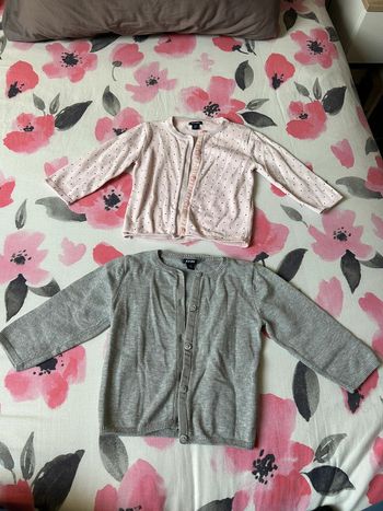 Lot 2 gilets gris et rose