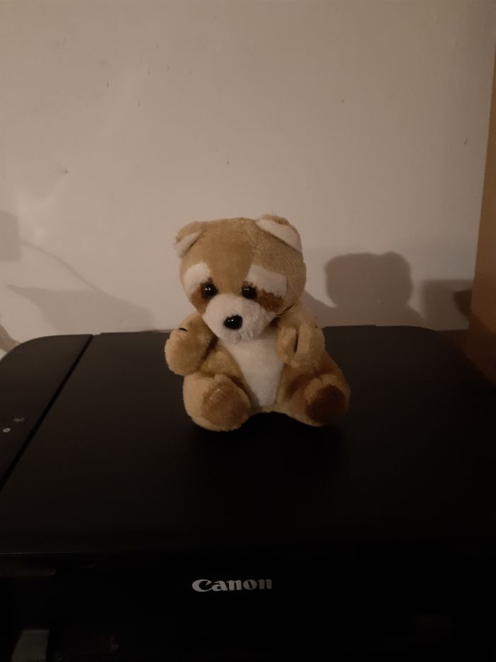 Peluche raton laveur