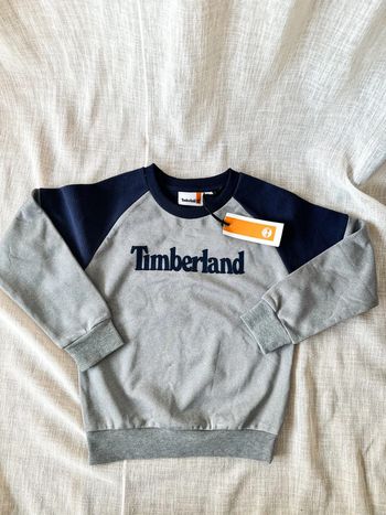 Pull Timberland