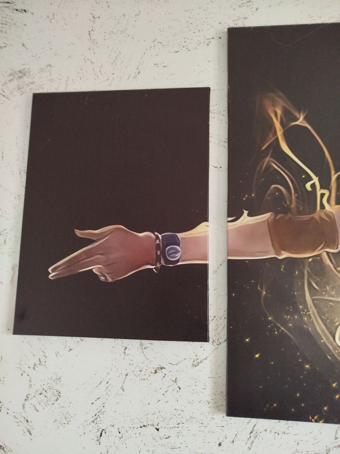 Cadres ACE ONE PIECE - photo numéro 4