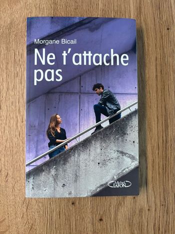 Ne t’attache pas Morgane Bicail
