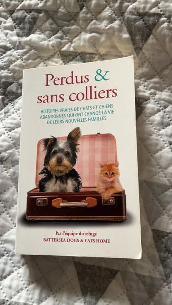 #perdus, sans colliers Par l’équipe du refuge de Batterseadogs et cats home