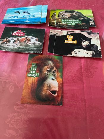 Lot de 8 cartes postales « animaux «