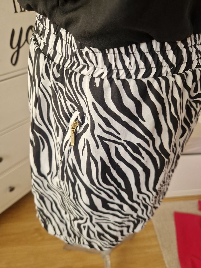 Robe zèbre - photo numéro 2