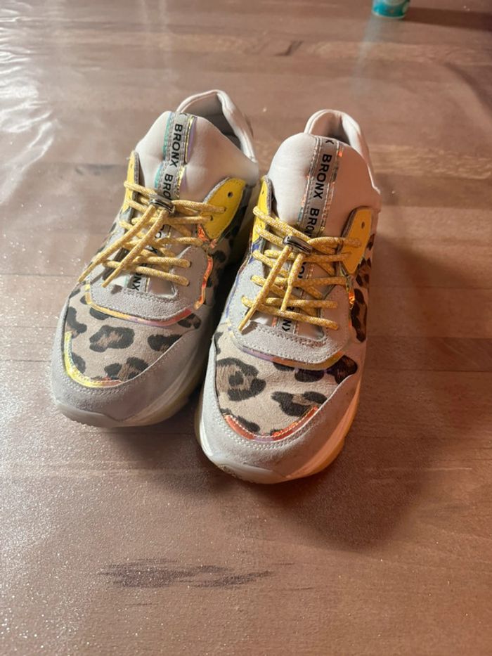 bronx leopard