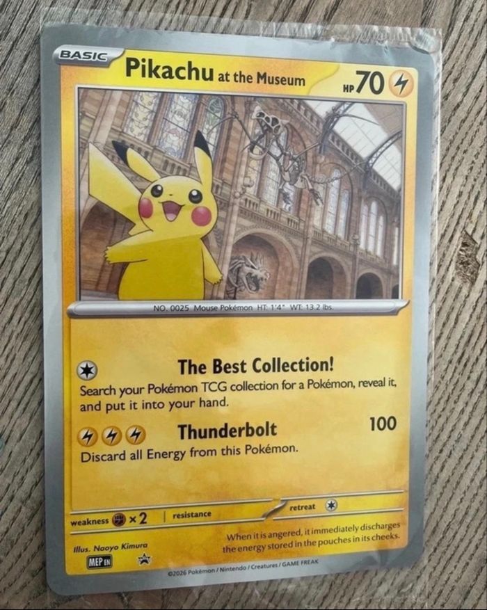 Carte pikachu at the muséum jumbo - photo numéro 3