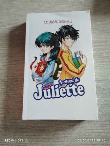 Livre lLe carnet de Juliette