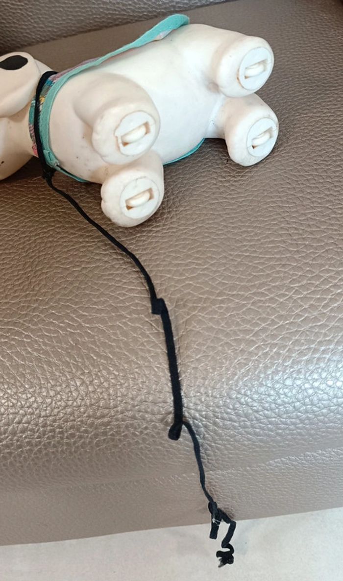 Chien style pouet - photo numéro 2