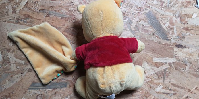 Peluche winnie l'ourson - photo numéro 2