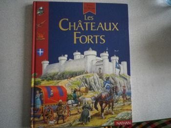 LES CHATEAUX FORTS
