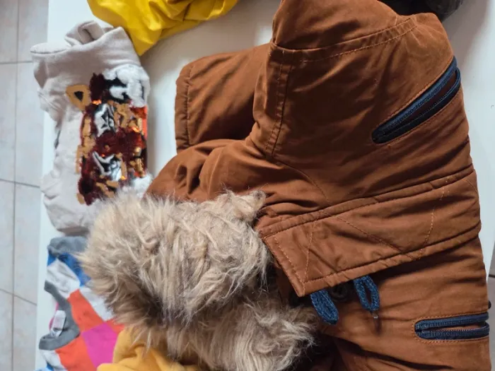 Lot vetements 3 ans garçon imperméable, blouson, pull, chemises etc - photo numéro 3