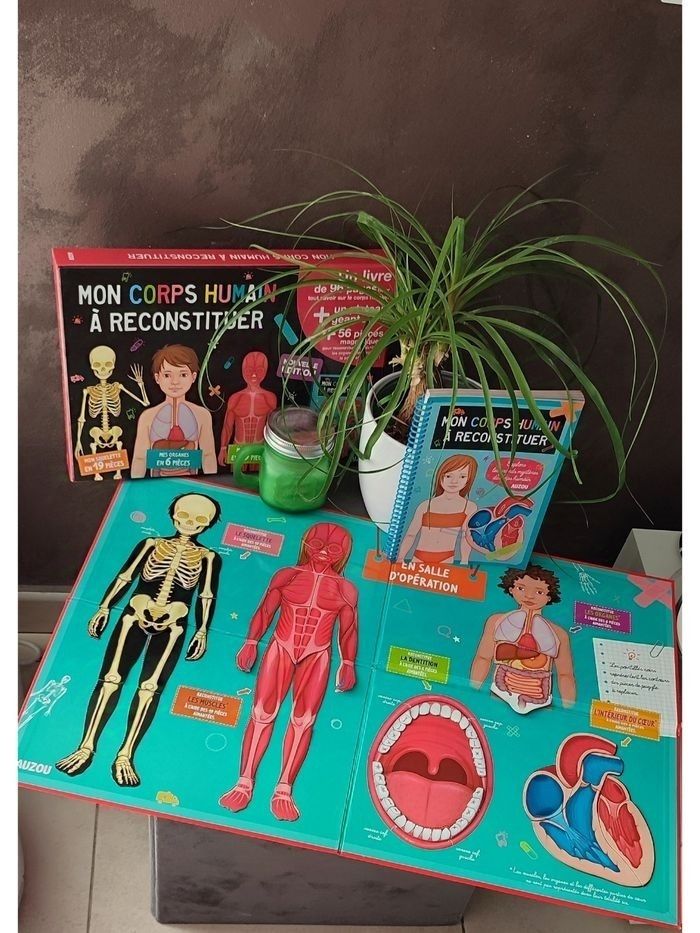 Mon corps humain à reconstituer Auzou - photo numéro 2