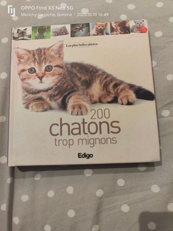 200 chatons trop mignons Réduction jusqu'à -70%